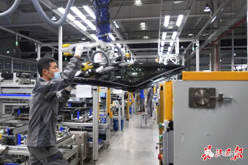 偉巴斯特武漢工廠提前三月投產(chǎn)，區(qū)域外資集聚效應(yīng)凸顯